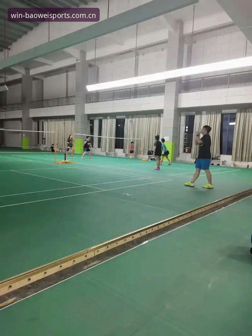 宝威体育平台最新动态：一站式体育娱乐体验全面升级，新手用户反馈积极